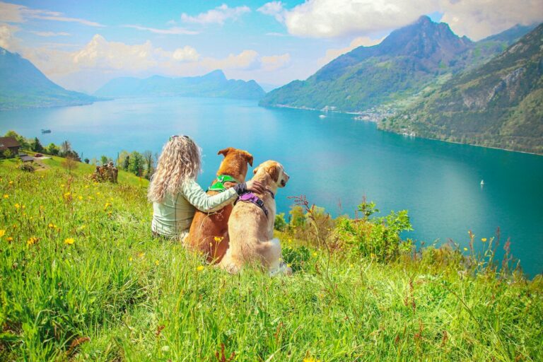 Is the love for dogs encoded in our genetic code?